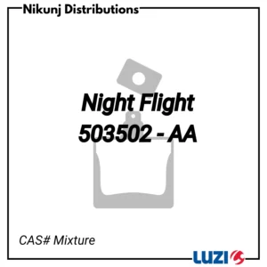 Night Flight 503502 - AA - Luzi