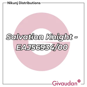 Salvation Knight