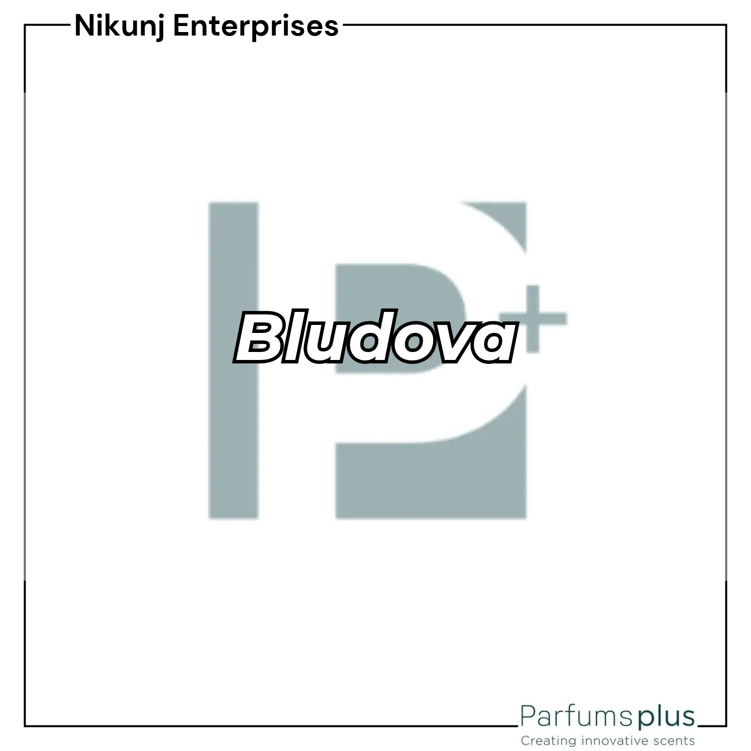 Bludova Parfums Plus