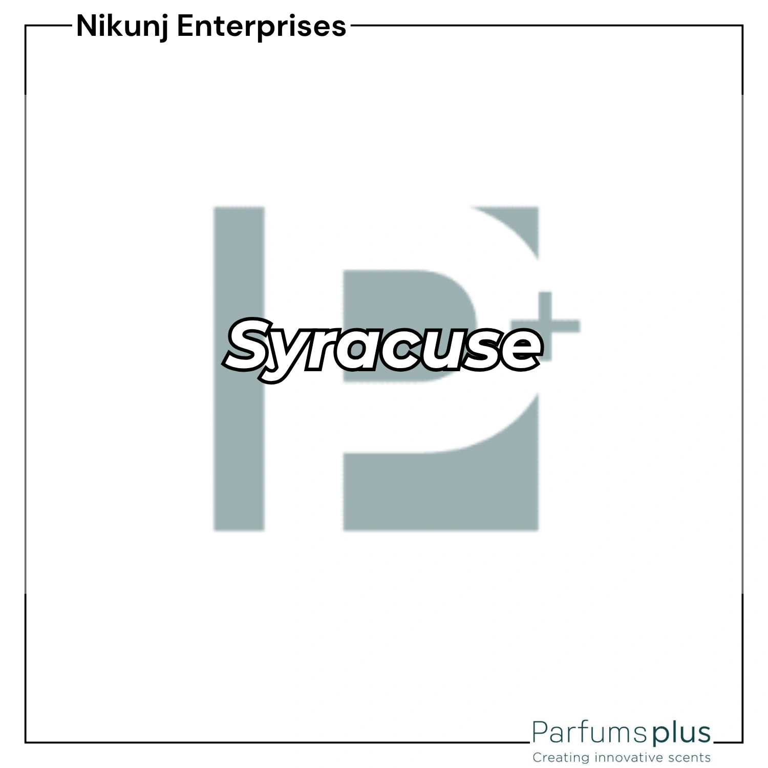 Syracuse Parfums Plus